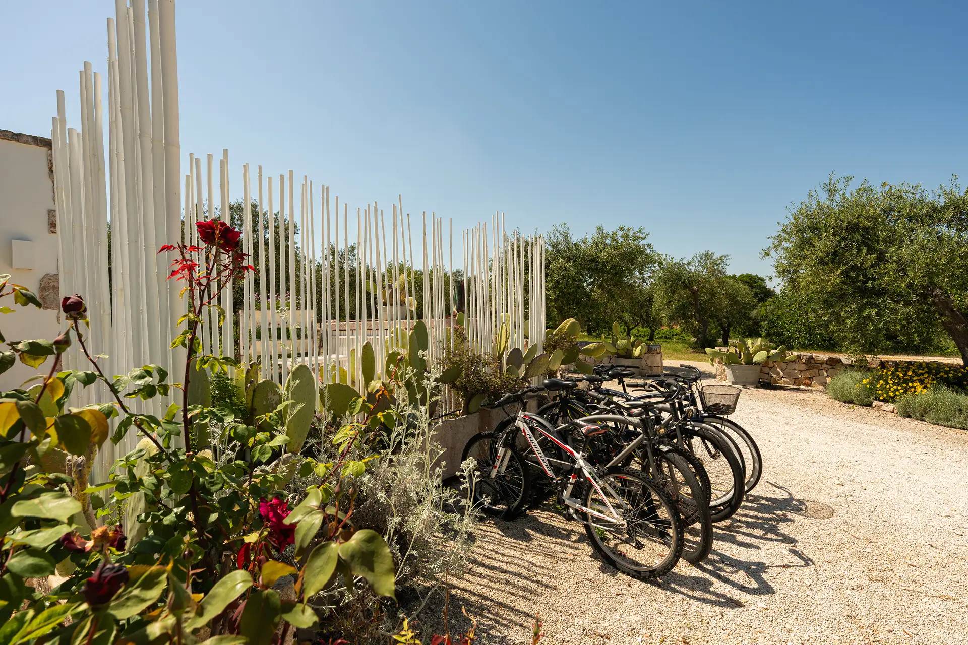 Bikes