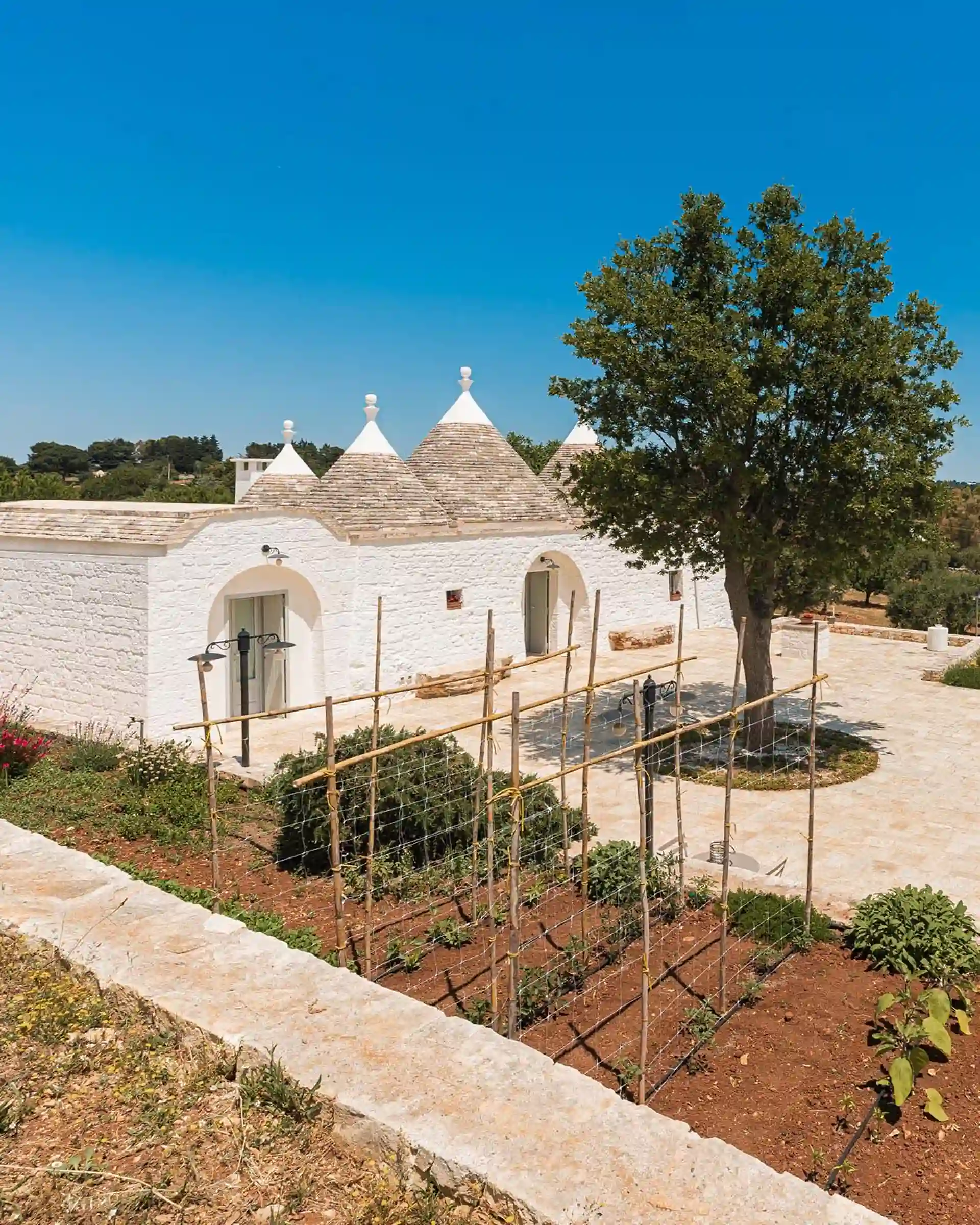 32450064-b8bd-4262-be4d-56fc6dc72ad2