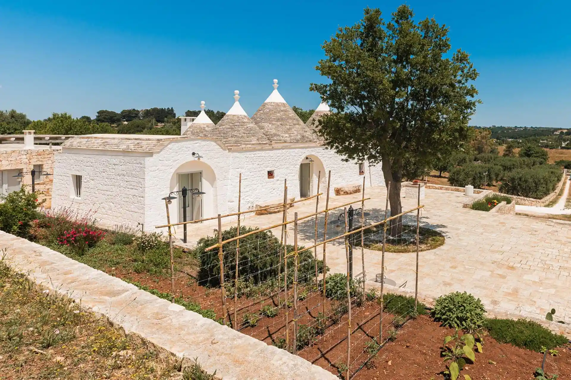 Private vegetable garden