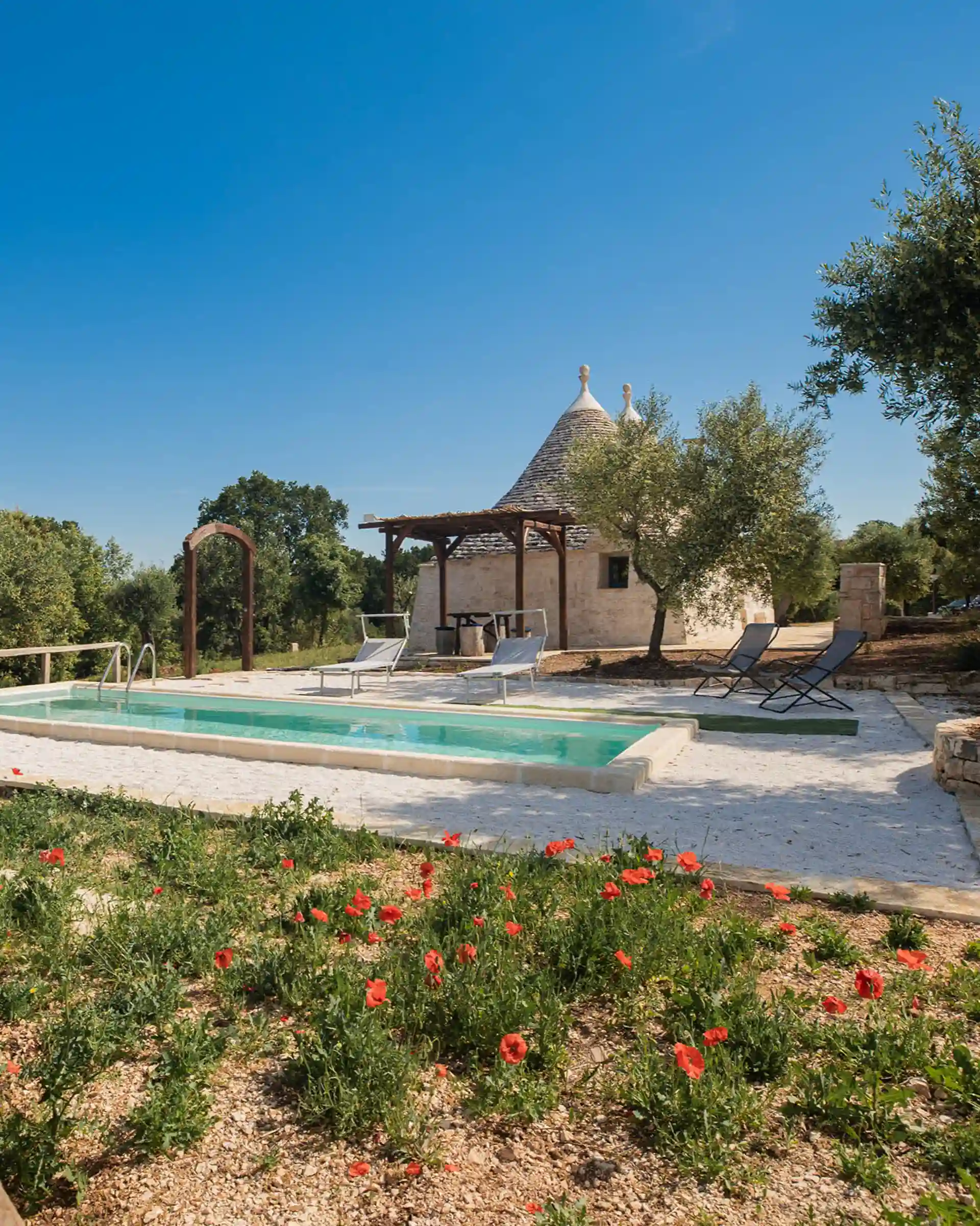 8ef6ca4a-6d3e-4919-92d8-ca93b897287a