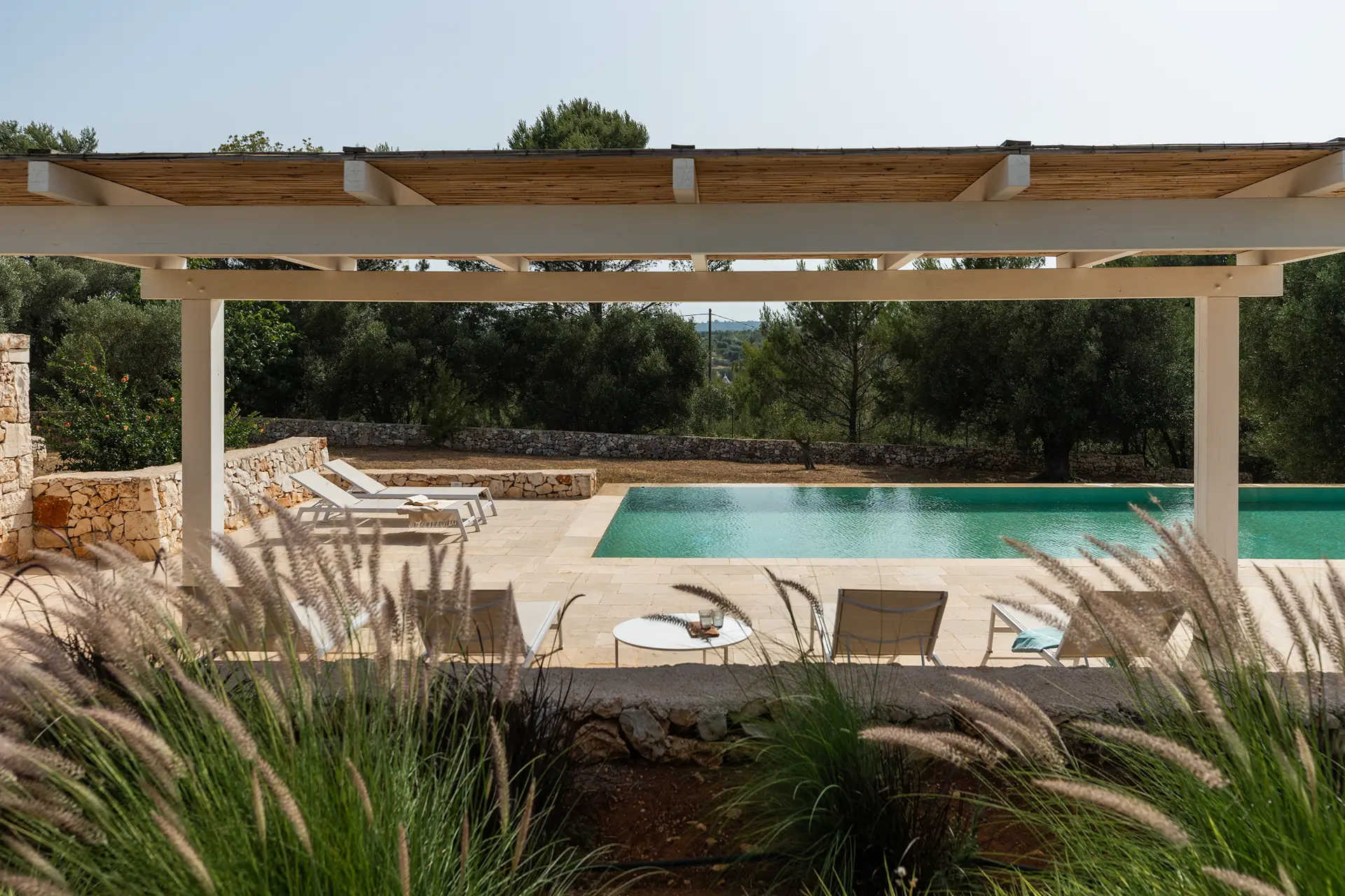 Private pool in olive grove