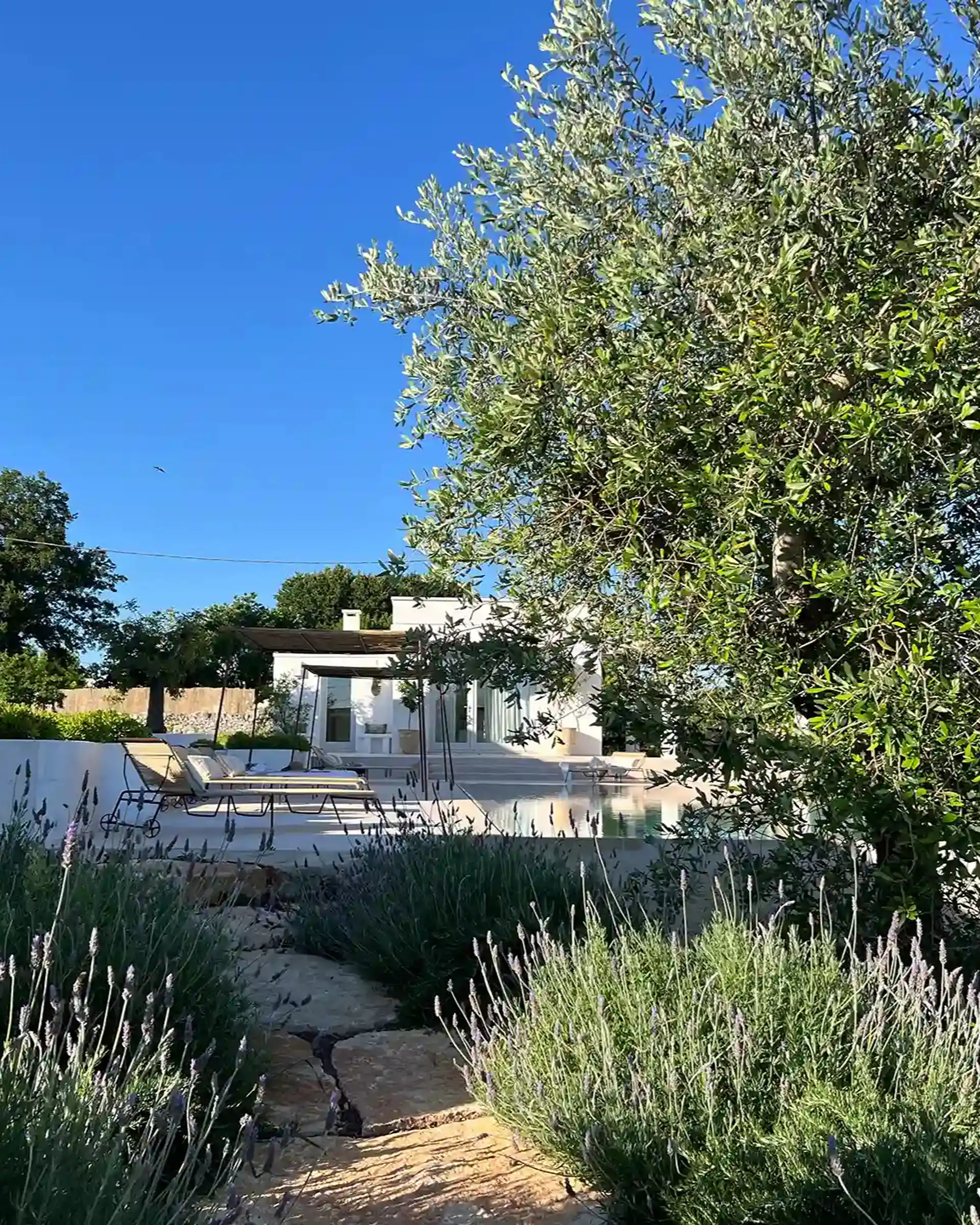 Lush Mediterranean Garden