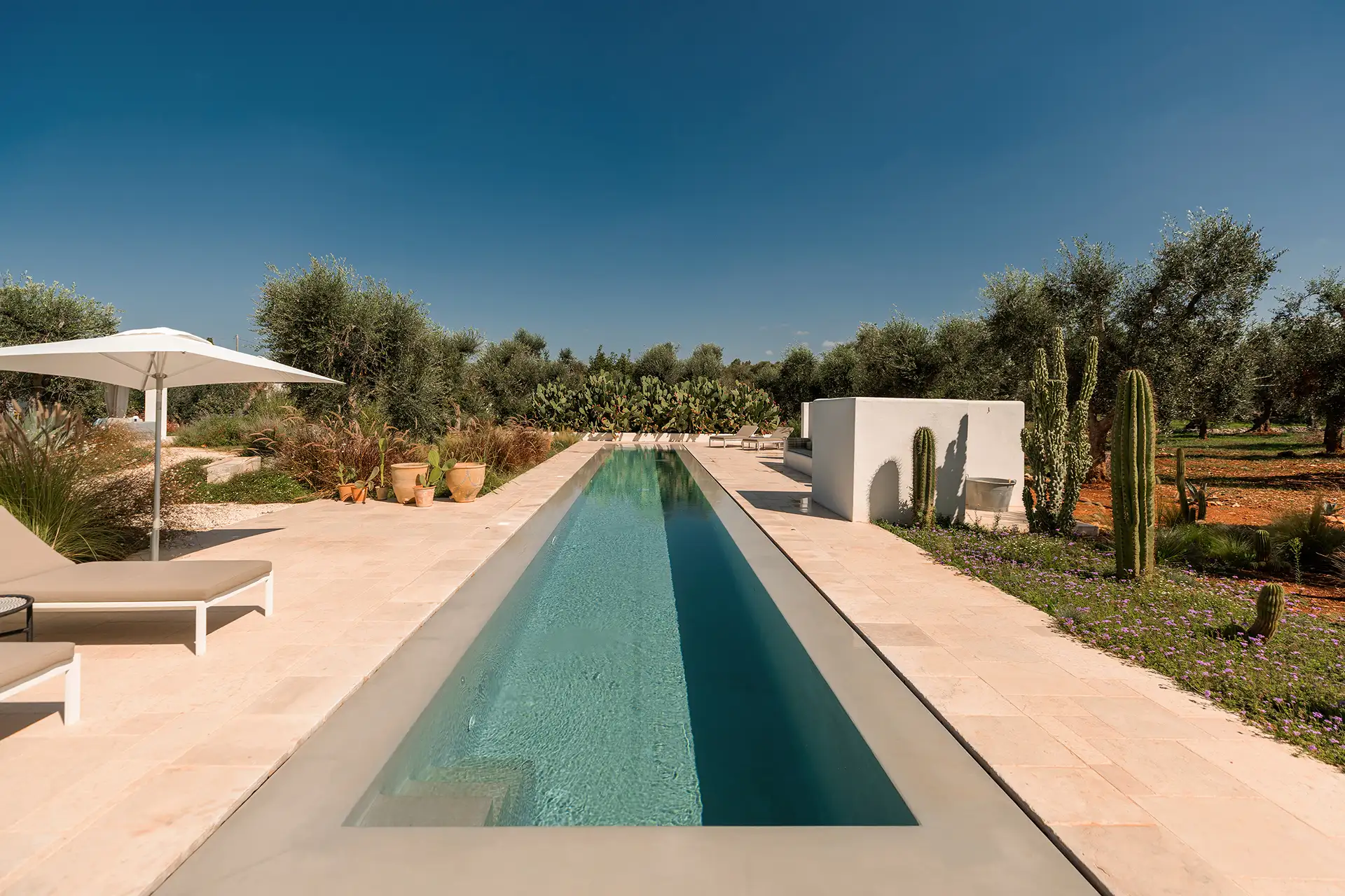 Villa Olivida - Pool View