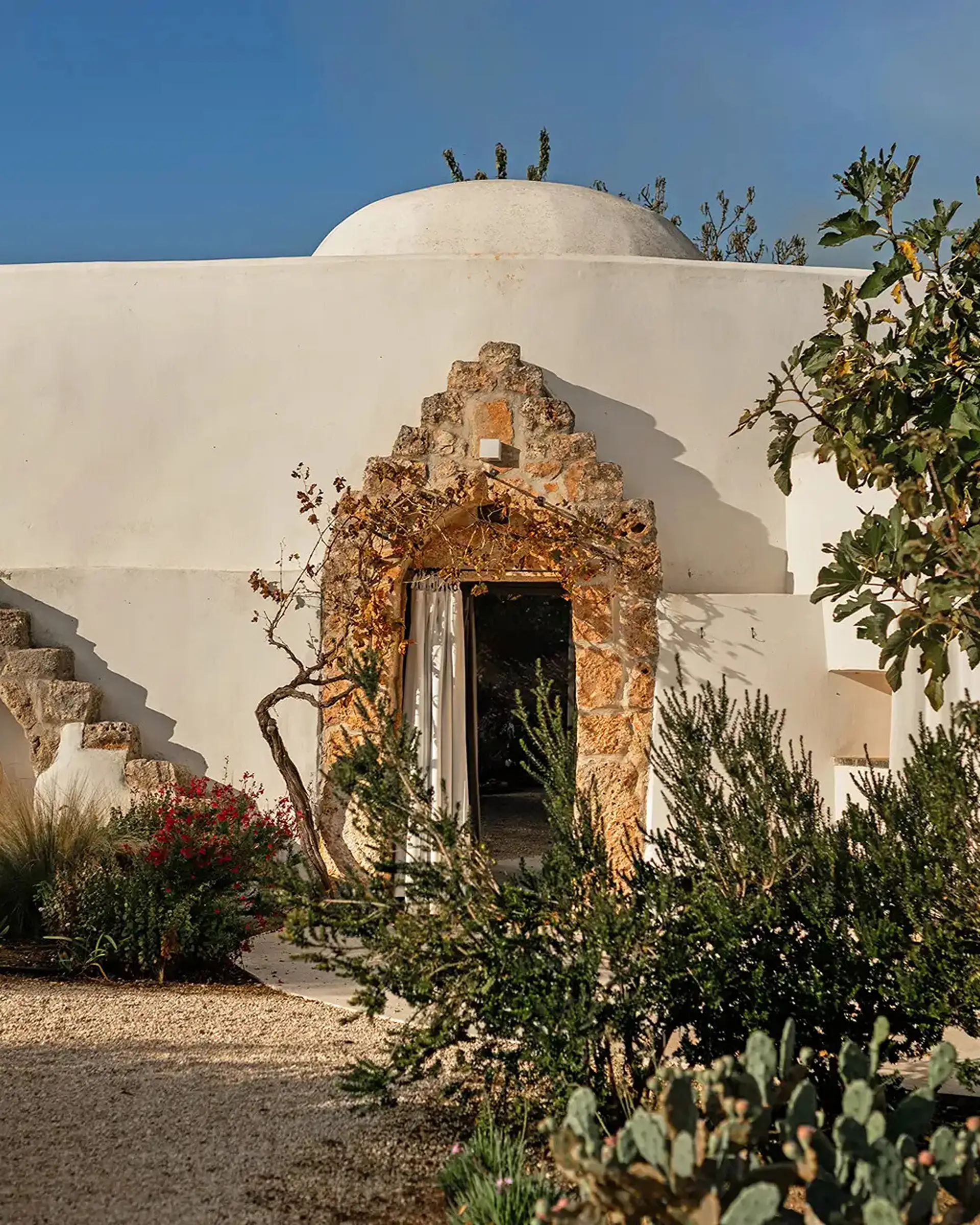 090651c7-596a-4106-af55-dfe66d4bcafc