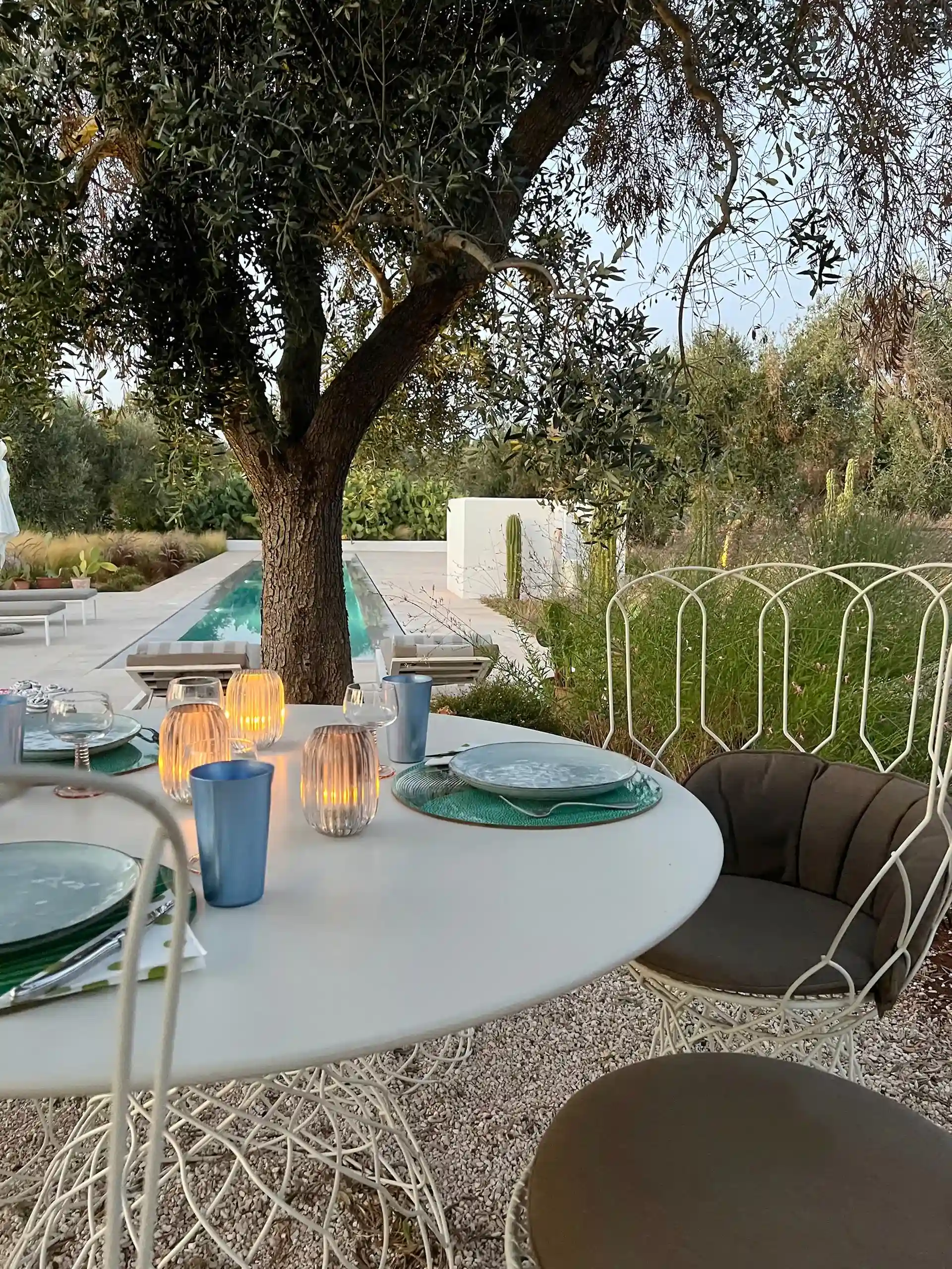 Villa Olivida - Garden