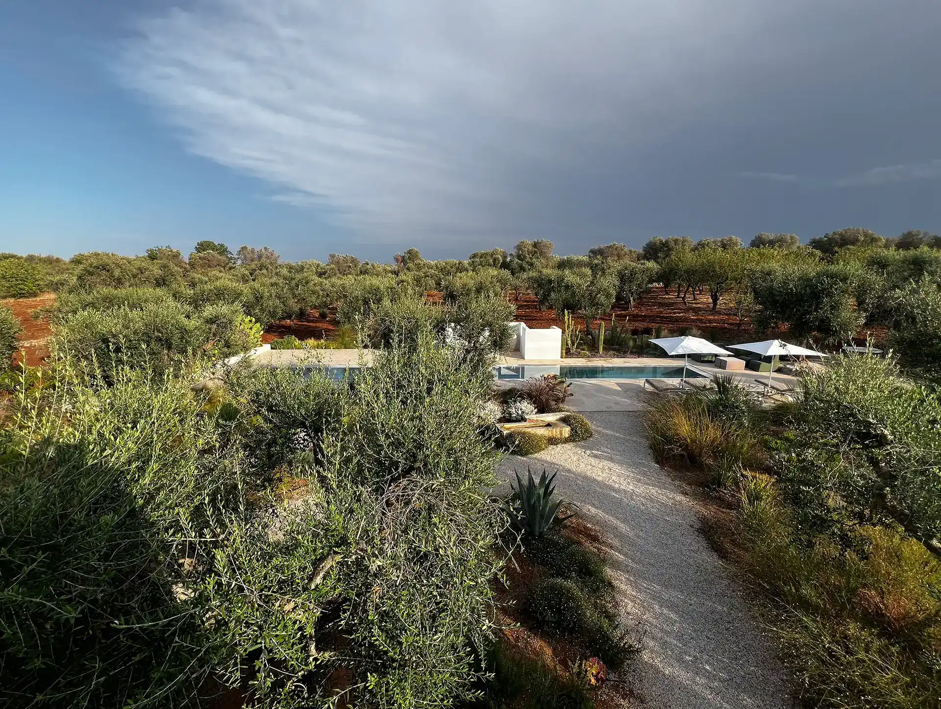 Villa Olivida - Garden