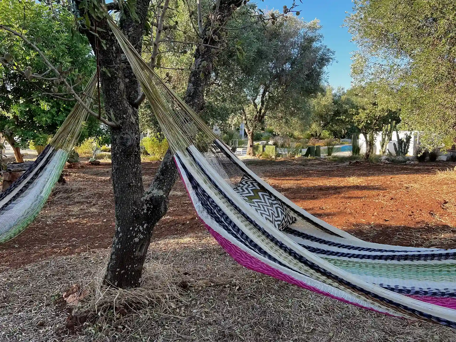 Villa Olivida - Garden