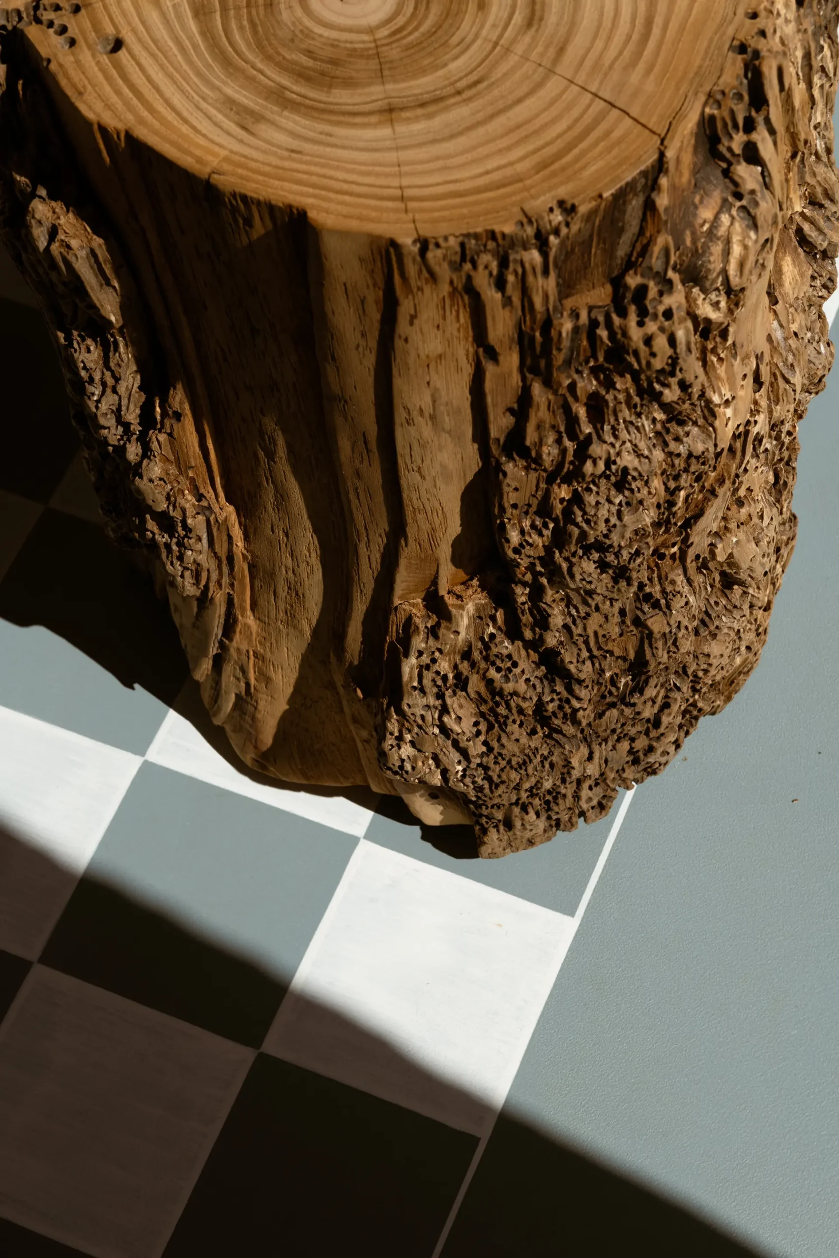 Trullo in Cima - Suite 2 Dettagli