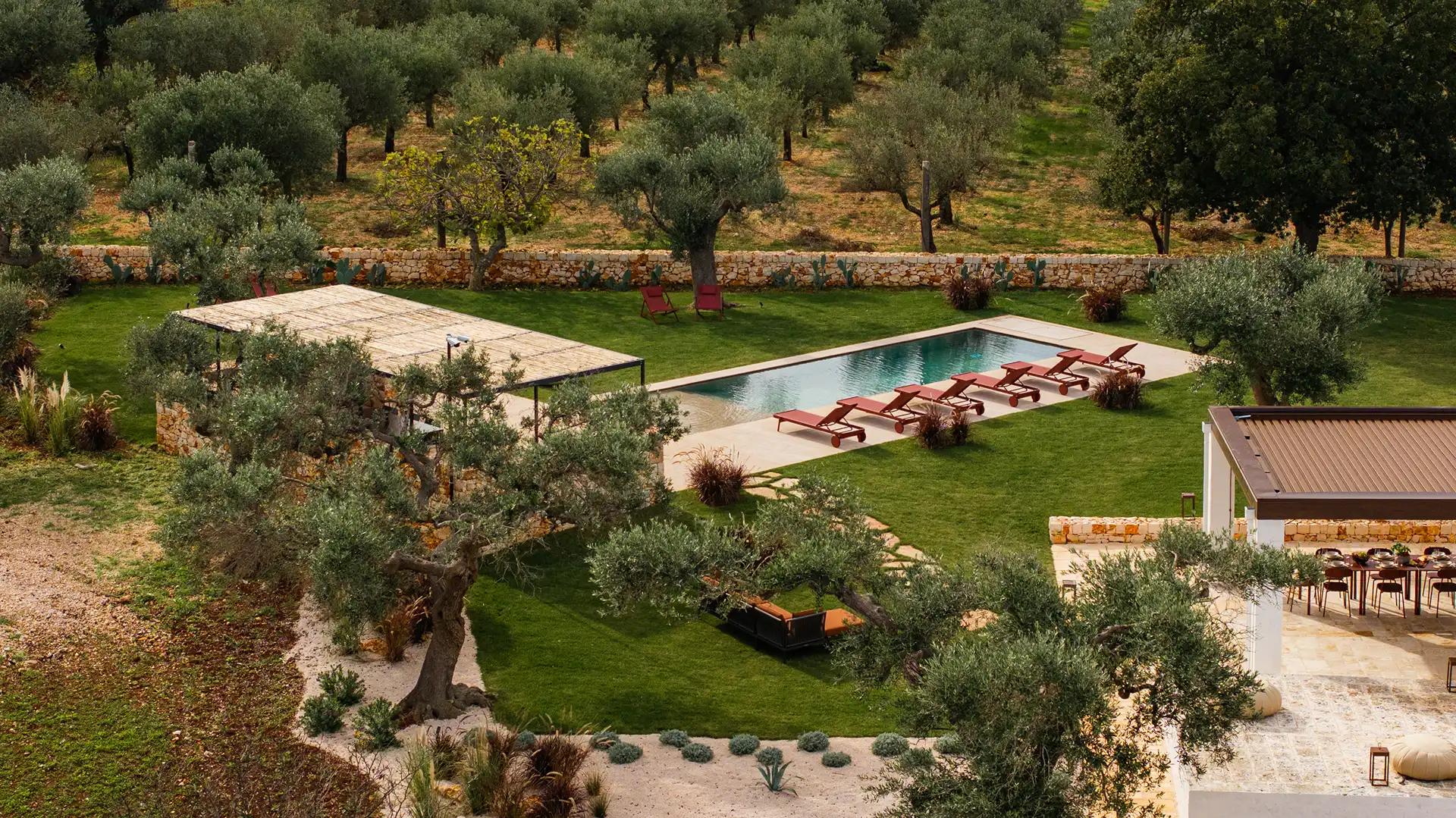 Trullo Regiorgio - Pure relaxation in the heart of the olive grove