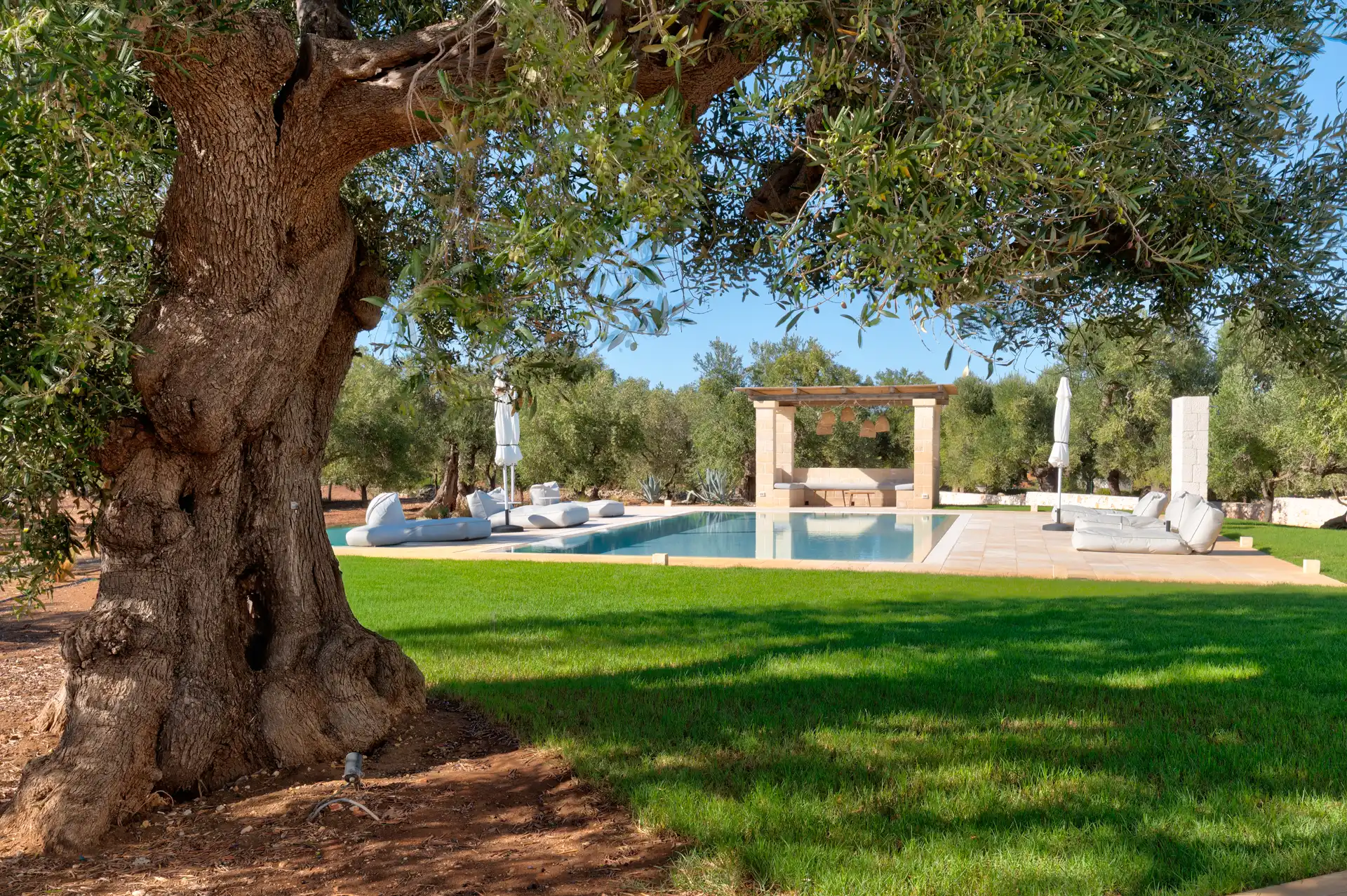 Villa Alberea - Vista Piscina e Giardino
