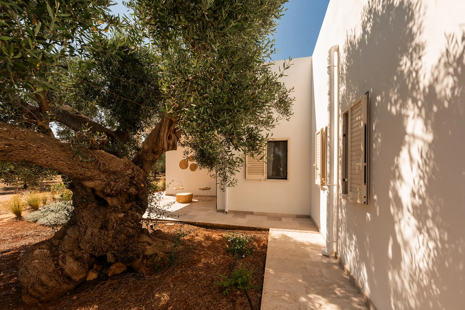 Villa Alberea